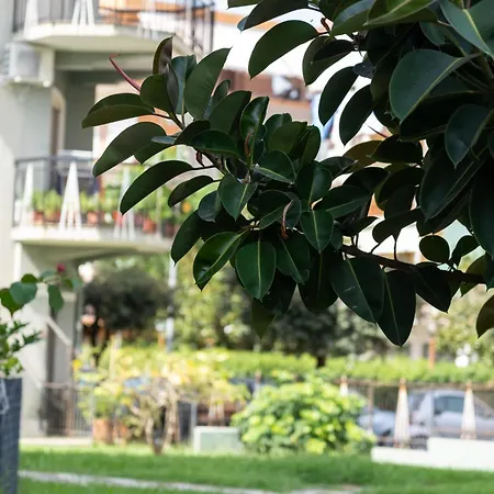 Alojamento de Acomodação e Pequeno-almoço Savastano's