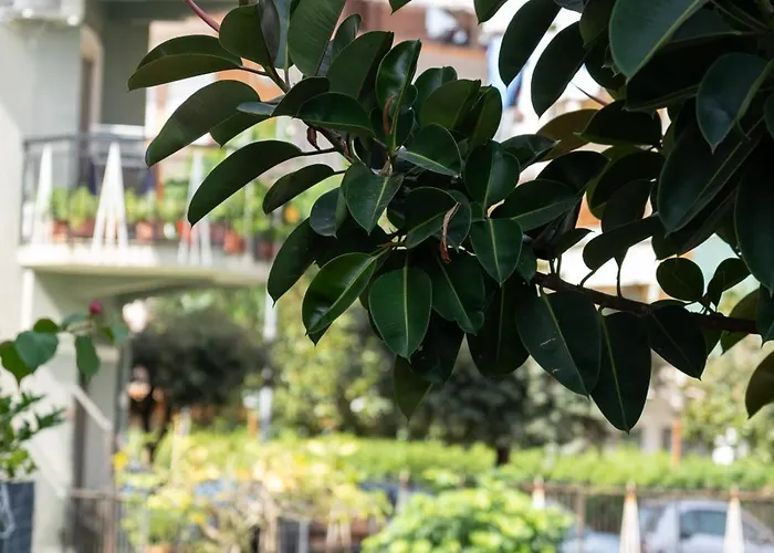 לינה וארוחת בוקר Savastano's